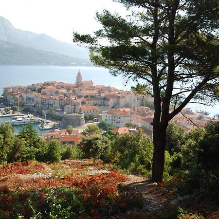 Villa Nova Vela Luka Dış mekan fotoğraf