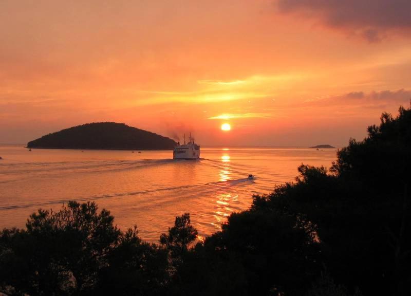 Villa Nova Vela Luka Dış mekan fotoğraf
